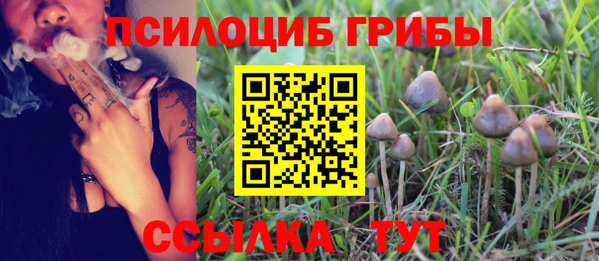 Галлюциногенные грибы Cubensis Приморско-Ахтарск