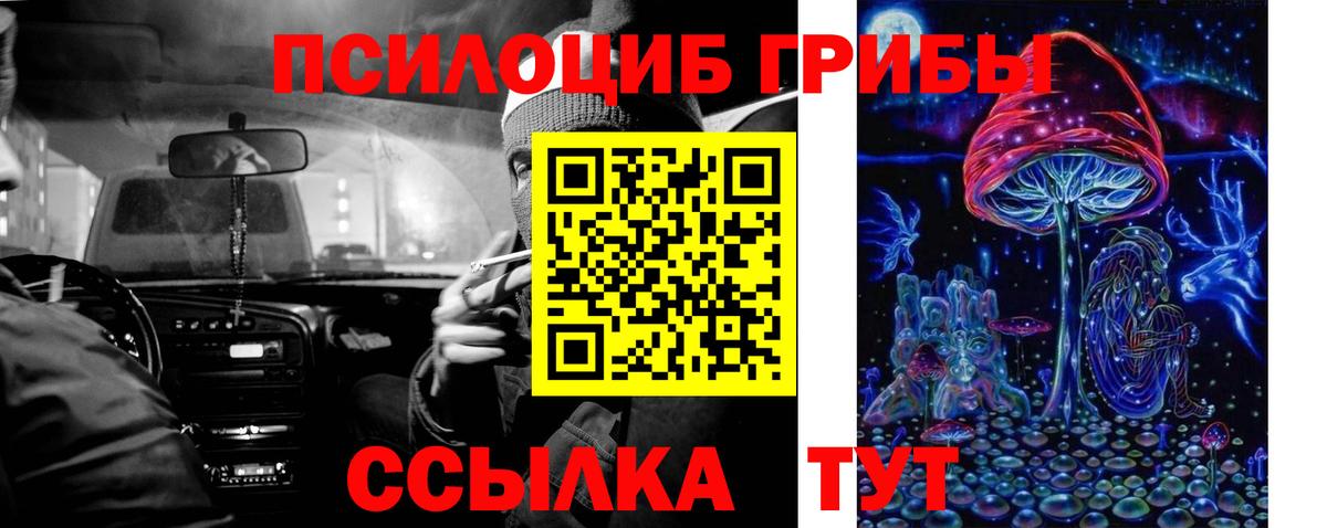 Псилоцибиновые грибы Cubensis  Вход с VPN  Галлюциногенные грибы мухоморы  Приморско-Ахтарск 
